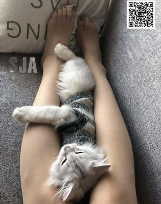 五十度黑完整版_蓝光超清在线观看